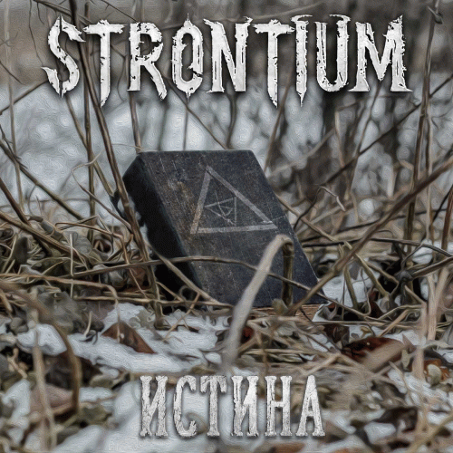 Strontium : Истина (Truth)